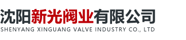 沈陽(yáng)新光閥業(yè)有限公司