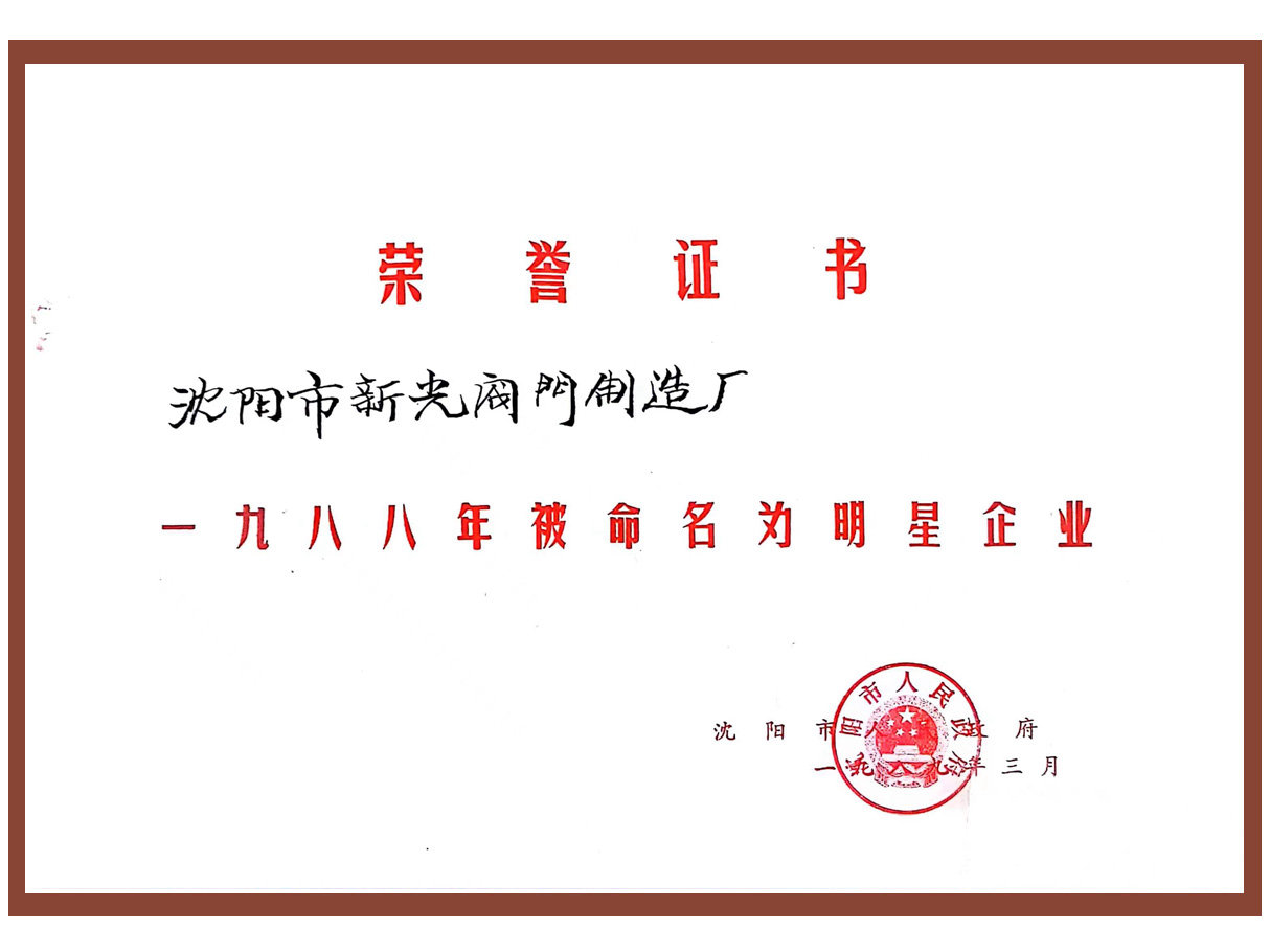明星企業(yè)榮譽證書